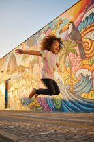 Three-Quarter Rio Mural